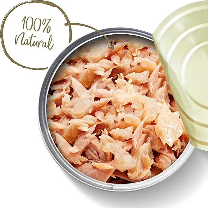 comida húmeda para gatos