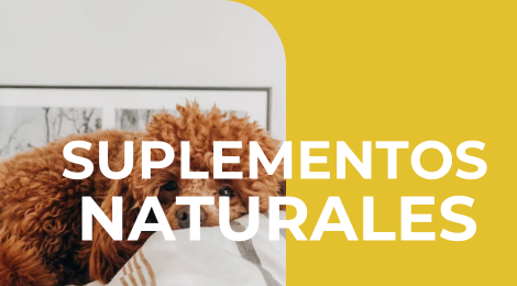 VITAMINAS PARA PERROS