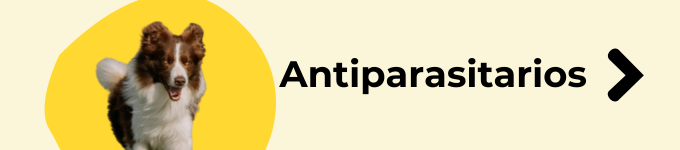 antiparasitos para perros
