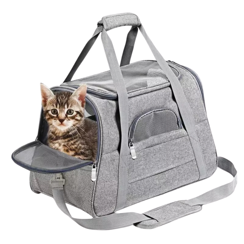 bolso para gatos