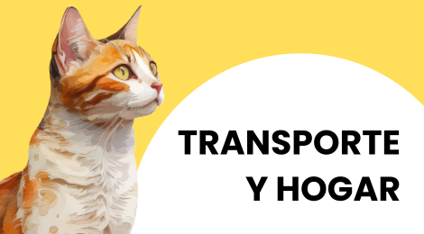 camas y rascadores para gatos