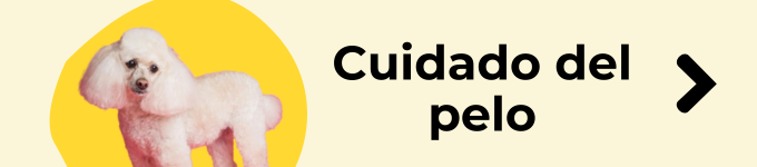 champu seco para perros