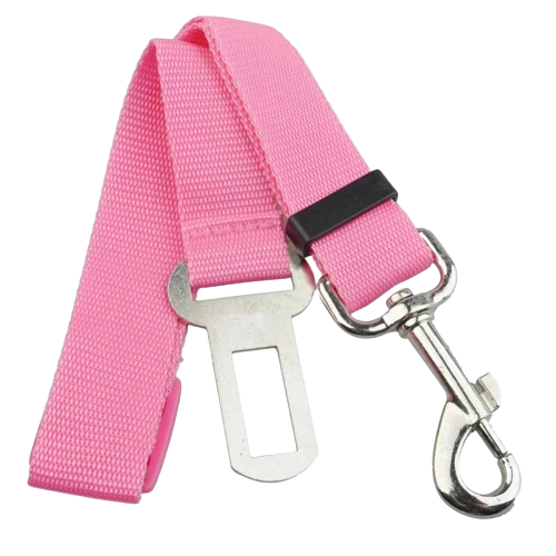 cinturon perro coche