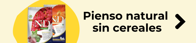 pienso natural para perros