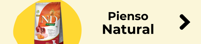 pienso para cachorros