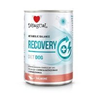 Disugual Diet Dog Alimento Húmedo para Perros Convalescientes - Recovery Salmón