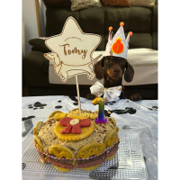 TARTA DE CUMPLEAÑOS PERRO