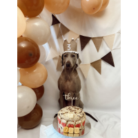 tarta personalizada perro