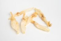 Oreja de Conejo sin Pelo