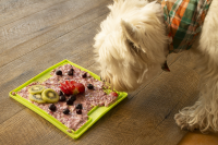 perro comiendo en lickimat