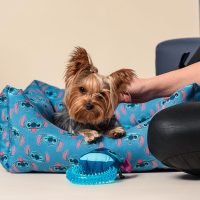 CAMITA PARA PERROS DE STITCH