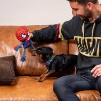 arneses para perros marvel