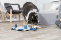 juguete avanzado de inteligencia para perros