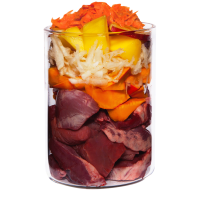 Terra Canis - Cordero con Calabaza, Chirivía y Flor de la Pasión dog