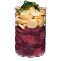 Terra Canis Hipoalergénica - Avestruz con Chirivía HUMEDO