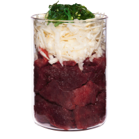 Terra Canis Hipoalergénica - Canguro con Chirivía