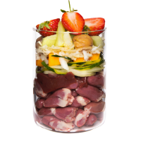 Terra Canis - Pato con Calabaza, Fresa y Saúco dog