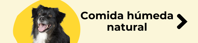 comida humeda natural