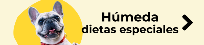 comida humeda veterinaria