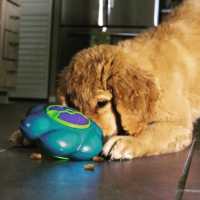 dispensador de comida kong flipz