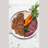 latita humeda verano perros