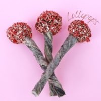 snacks naturales perros cookas cookies