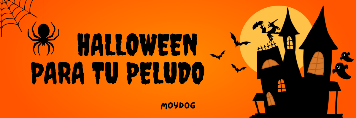 halloween perro