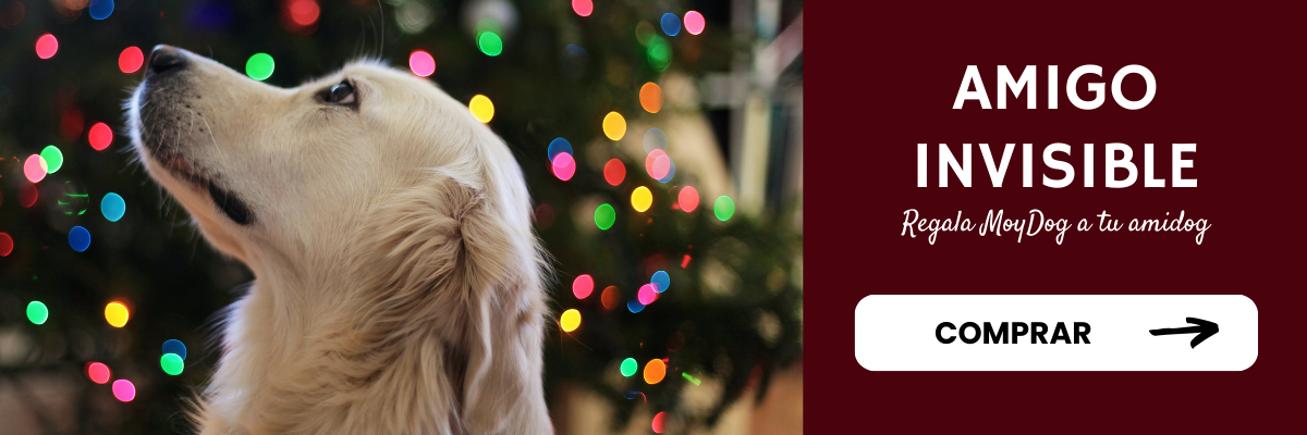 amigo invisible para perros