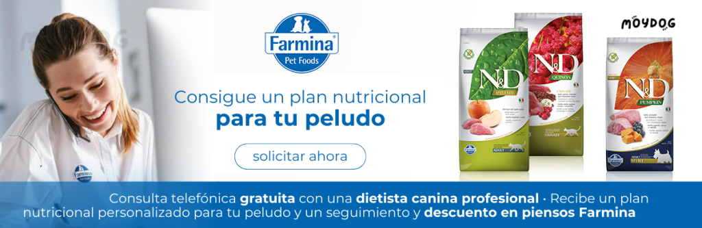 nutricionista para perros gratis Farmina