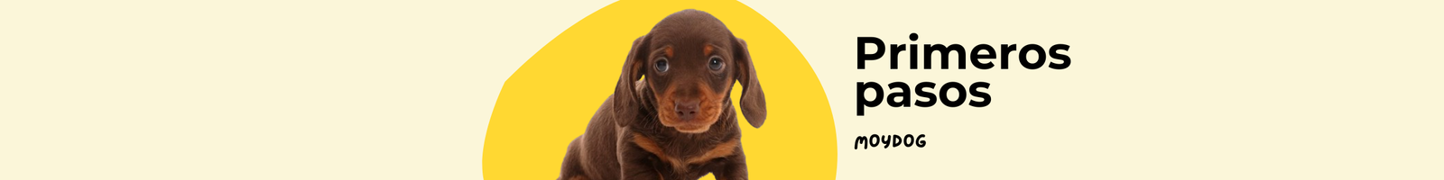 Productos para cachorros