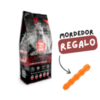 Alpha Spirit The Only One cachorros