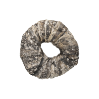 DONUT DE PESCADO PARA PERROS