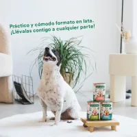 Wild Balance Guiso del Pescador con Pavo y Ternera para perros -