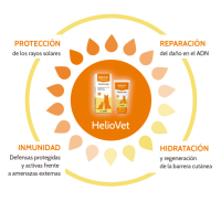 crema protectora de sol para perros