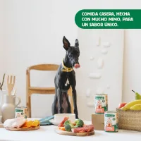 wild balance Guiso del Pescador con Salmón y Cerdo para perros