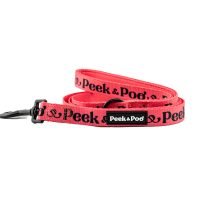 correas para perros