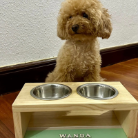 comedero personalizado para perro
