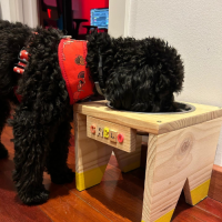 comederos personalizados