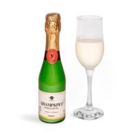 champan para perros yogupet