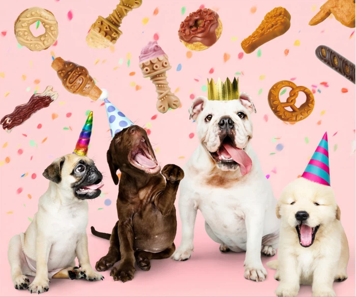 snacks para cumpleaños perros