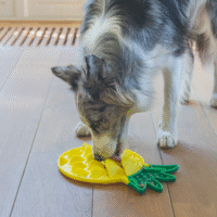 COMEDERO LENTO PARA PERROS