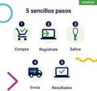 adn test perro koko genetics