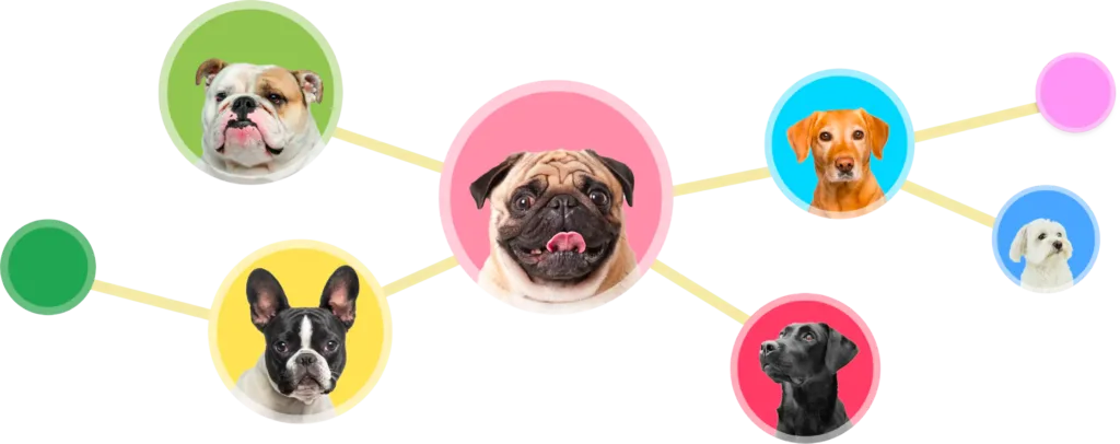 arbol genealogico de perros