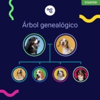 koko genetics adn test