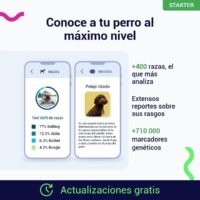koko genetics test adn perro