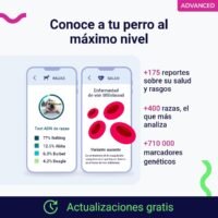 test adn enfermedades perros