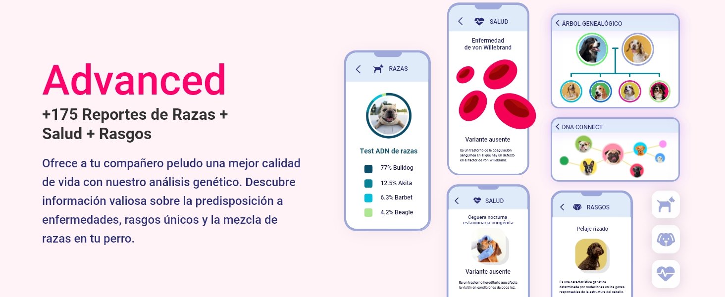 test adn y enfermedades perros