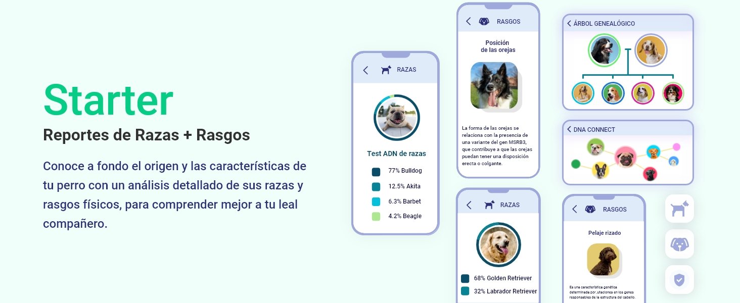 test starter koko genetics