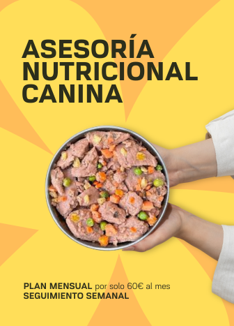 asesoria nutricional canina moydog