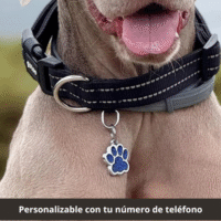 chapa identificativa para perros joyeria the vecina